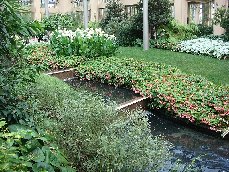 246 Longwood Gardens [2008 August 23].JPG - Longwood Gardens in Pennsylvania